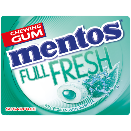 Mentos Pure Fresh Wintergreen Chewing Gum 14Gm